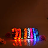 Safety Pet Collar With LED And Printed Design By Project Pet Lovers Club