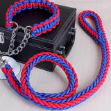 Big Dog Plaited Leash And Collar Set