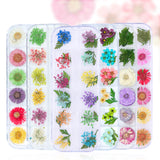 3D Dried Flower Theme | Nail Art Decals