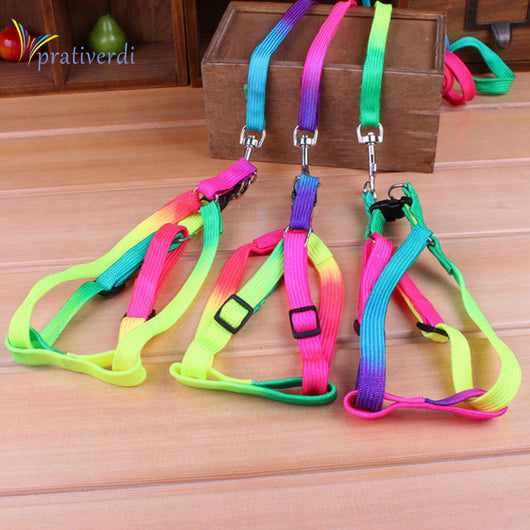 Safety Rainbow Leash and Harness Set